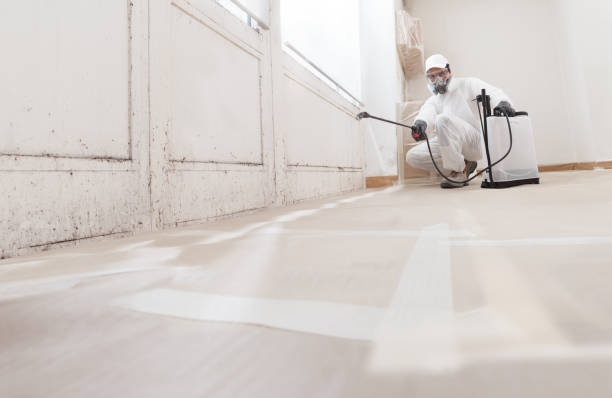 24/7 Emergency Mold Remediation experts in East Rutherford, NJ